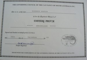 prefix cert